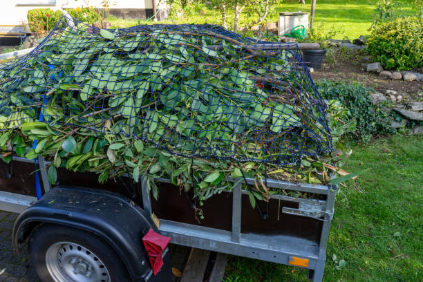 Best Residential Junk Removal  in Prosperity, WV